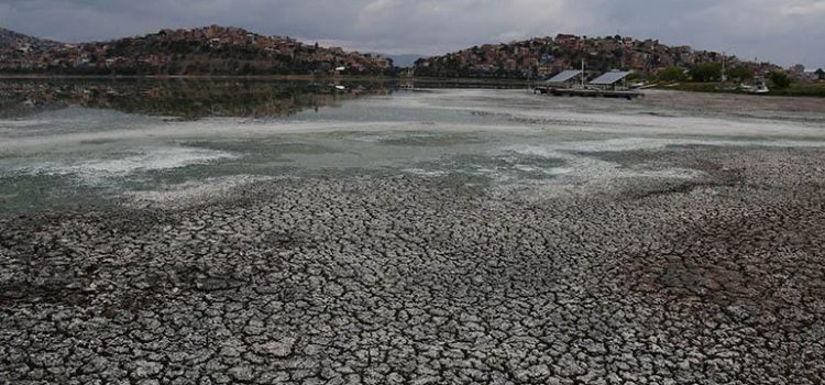 Expertos alertan sobre crisis hídrica y alimentaria en Bolivia